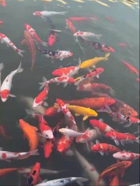 Screenshot_2025-08-30-14-50-24-94_e39d2c7de19156b0683cd93e8735f348