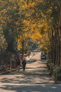 mmexport1725427674247