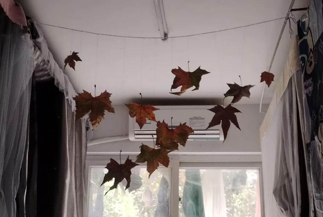 图示, 示意图

中度可信度描述已自动生成:ver1